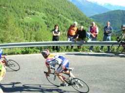 mortirolo (55)